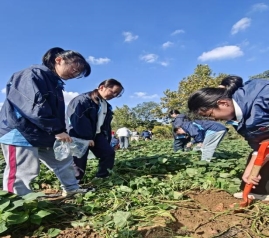 9bc8a2daebbd1e47abebcb2cc38802ff