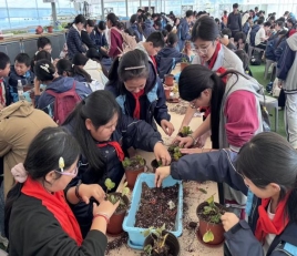 0c6058662ead98a686327866cb4bc769