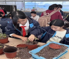 42fcdbc3267c0092717d058fed1a2052