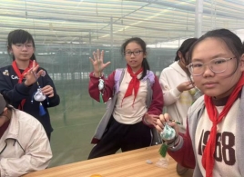 e1e1dea00692307a59f557d252782442